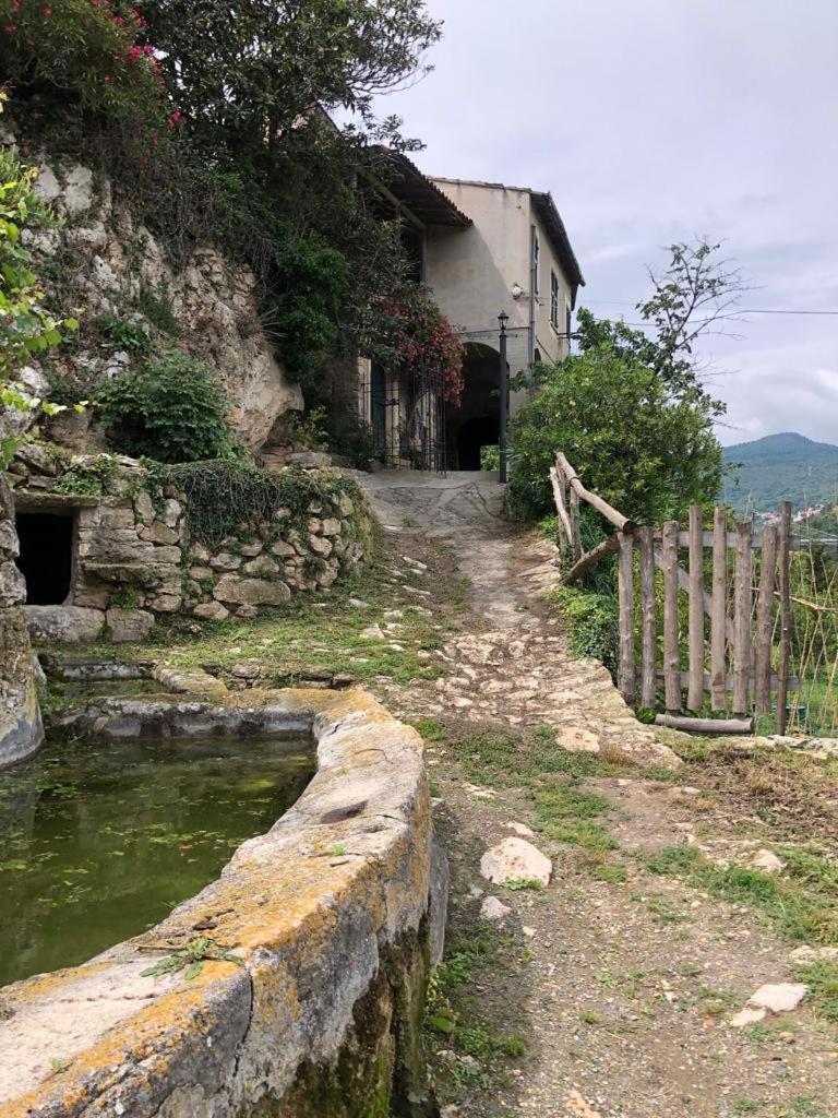 Ca Di Pippo "Tasso" Appartamento Ristrutturato 奥尔科费利诺 外观 照片